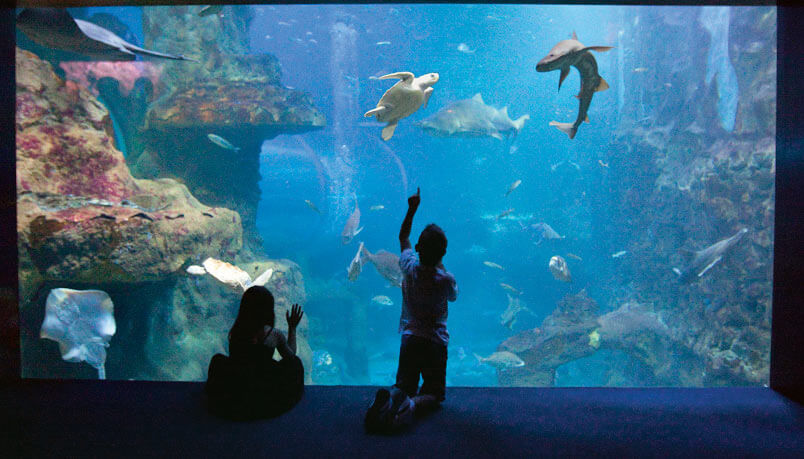 aquarium donostia san sebastian enfants