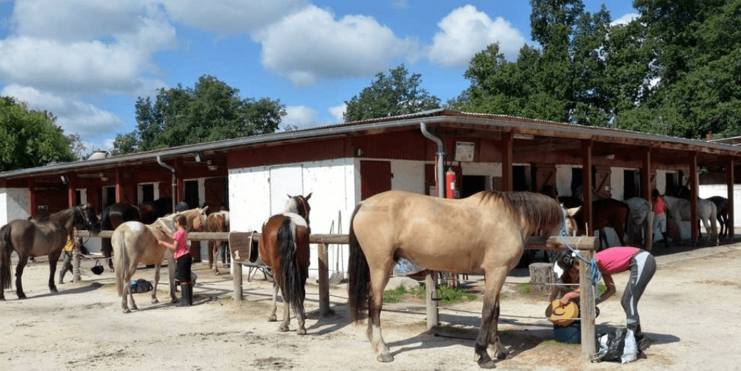 centre equestre romainville